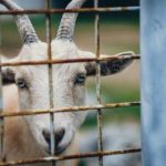 畅享无阻:365看片app带你领略精彩影视世界 0c2mh