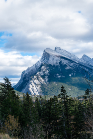 畅享所有动漫免费完整观看的最佳平台推荐