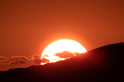 绅士之庭：探索漫画中的优雅与魅力