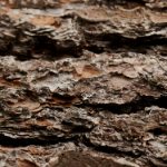 绅士仓库网址:探索绅士文化与时尚的独特平台 2p4t9m8