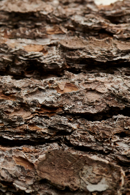 绅士仓库网址：探索绅士文化与时尚的独特平台