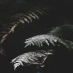 畅享无限精彩,茶杯狐免费追剧网带你追剧无忧 3ek6f