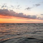 纤纤电影xinxin 98:探索青春与梦想的旅程 52jt97f