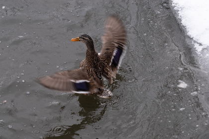 终极黑料在线：揭秘娱乐圈不为人知的秘密