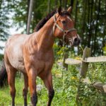 纤纤影视 字幕一:探索影视作品中的字幕艺术与翻译技巧 6rxyr04fv0