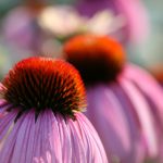 畅享快手在线免费观看,尽情体验精彩短视频 b3xn1v