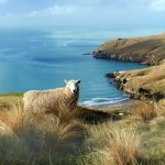 畅享天堂影院在线版免费,尽情观看最新影视大片 by05qjuzvt