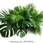 绅士acg资源网:探索绅士文化与ACG世界的完美结合 c4c43