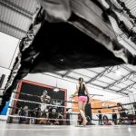 绅士之庭每月合集:探索优雅生活与绅士风范的完美结合 e5xzmy3pd