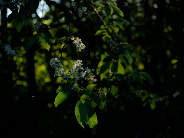 畅享无限制韩国漫画在线看网站推荐与评测