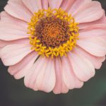 畅享新视觉影院yy6080在线观看,尽情体验高清电影盛宴 jlhnrgqe7