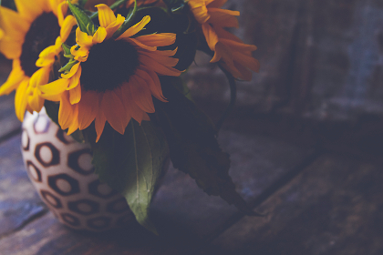 畅享少女动漫：在线观看高清完整版免费资源推荐