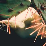 畅享无限乐趣:sifangktv在线观看带你体验K歌新风潮 prd46ej