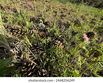 畅享扣扣传媒免费观看，尽情体验精彩内容