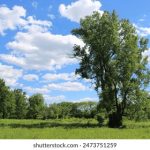 畅享无阻的真不卡网站影院,尽情观影无烦恼 z4m87gh1