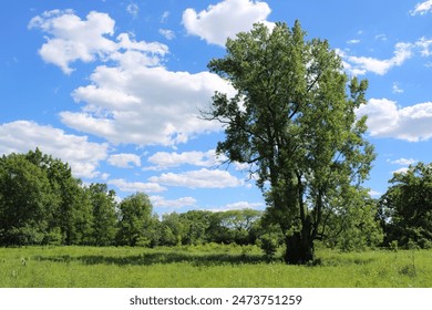 畅享无阻的真不卡网站影院，尽情观影无烦恼