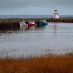 纤纤影视:探索独特视角下的电影与电视剧魅力 zja1ngo