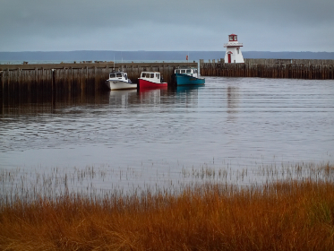 纤纤影视：探索独特视角下的电影与电视剧魅力