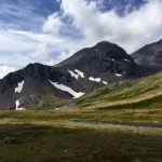 红领巾爱学习:培养新时代小学生的学习热情与探索精神 zqos3u1yy